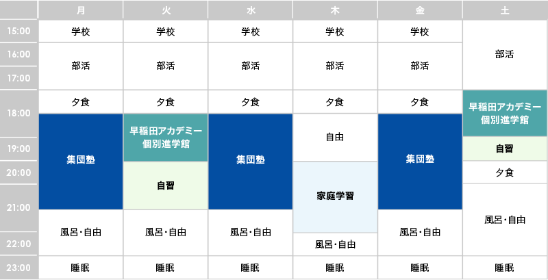 〈例2〉中学生 集団塾と早稲田アカデミー個別進学館を併用の場合