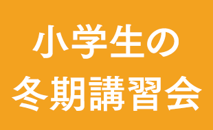 小学生の冬期講習会｜個別指導塾の早稲田アカデミー個別進学館