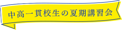 個別指導塾の夏期講習会（中高一貫生）