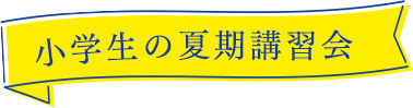 個別指導塾の夏期講習会（小学生）