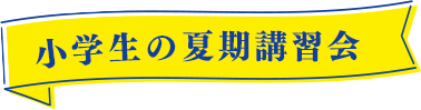 個別指導塾の夏期講習会（小学生）
