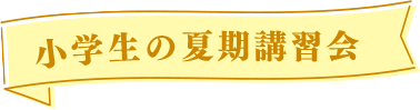 個別指導塾の夏期講習会（小学生）
