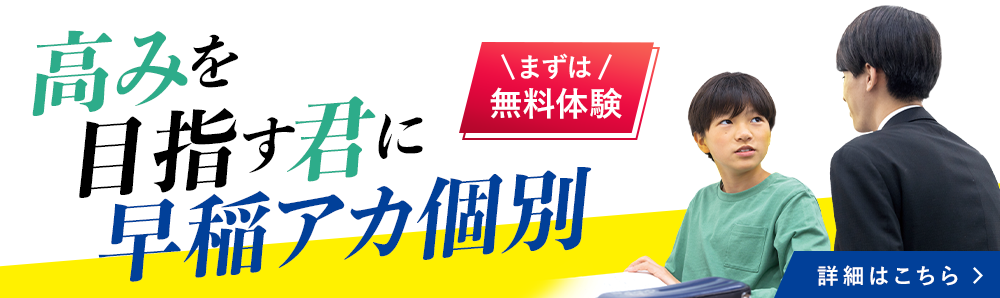 高みを目指す君に早稲アカ個別 まずは無料体験