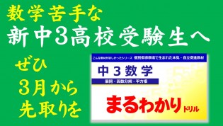 個別指導塾 早稲田アカデミー個別進学館 豊洲校のお知らせ1